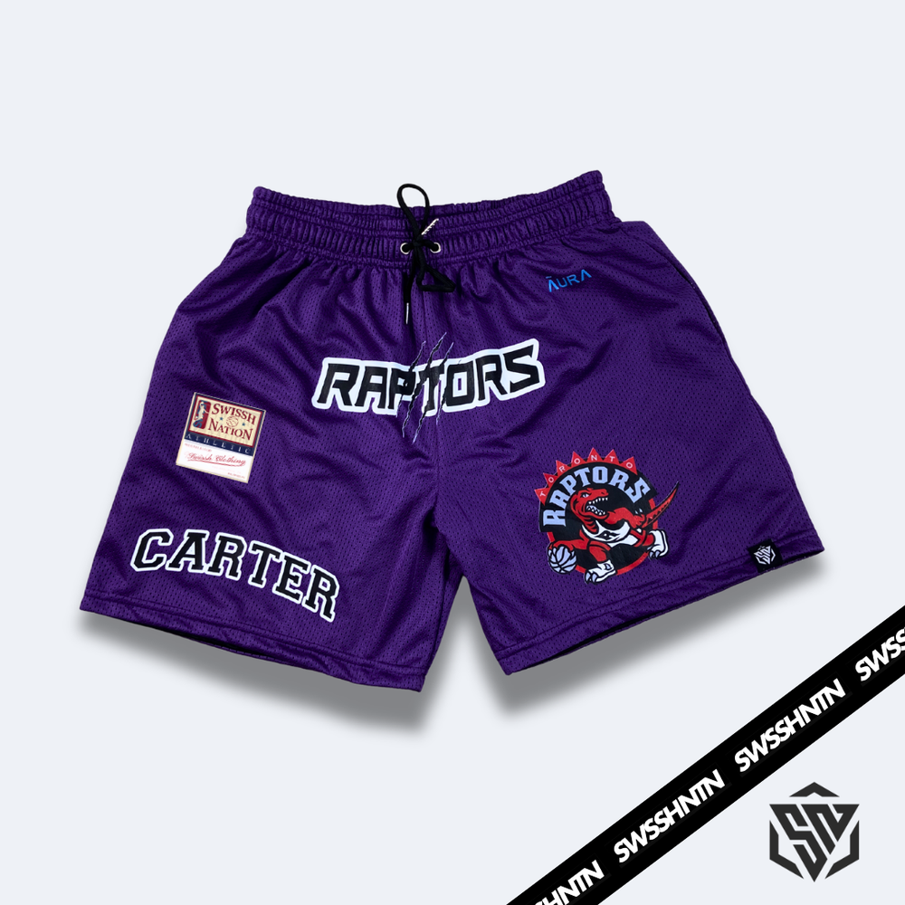 Vince Carter Mesh Short